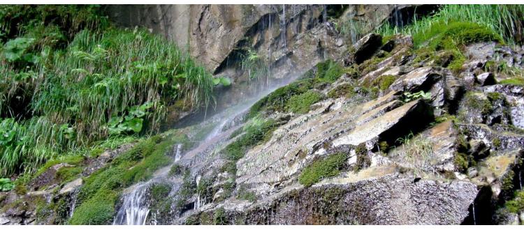 Diretta streaming: Governare la biodiversità  dalla cartografia al monitoraggio di habitat, animali e piante da conservare nel territorio toscano